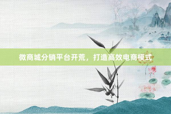 微商城分销平台开荒，打造高效电商模式