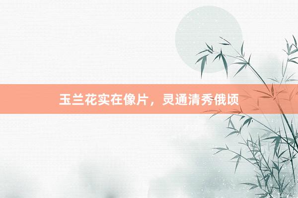 玉兰花实在像片，灵通清秀俄顷