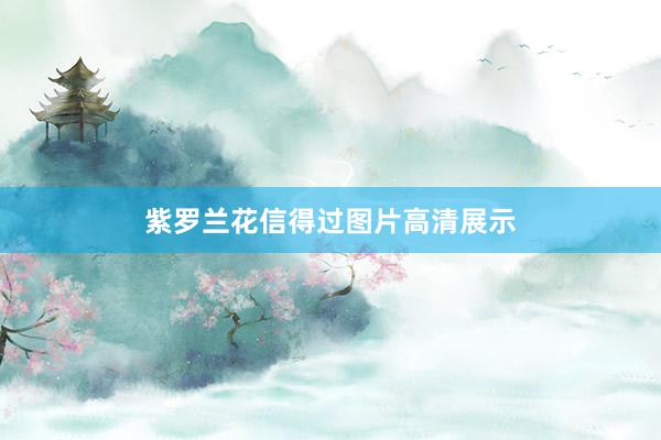 紫罗兰花信得过图片高清展示